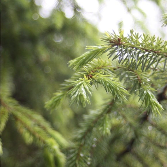 Meet your Posher, Pam - Picture 11 of 12